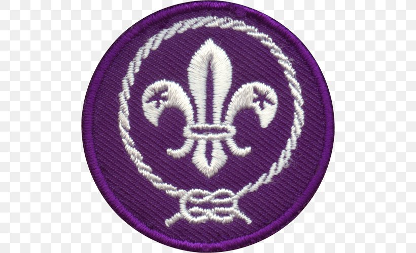 World Scout Jamboree National Capital Area Council World Scout Emblem Boy Scouts Of America World Organization Of The Scout Movement, PNG, 500x500px, World Scout Jamboree, Badge, Boy Scouts Of America, Cub Scout, Cub Scouting Download Free
