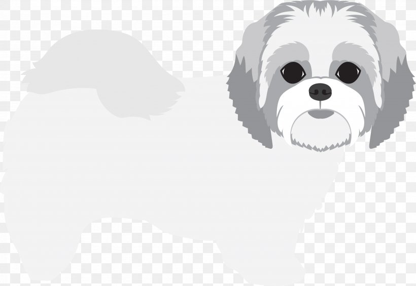 Dog Dog Breed Maltese Shih Tzu Companion Dog, PNG, 2976x2051px, Dog, Companion Dog, Dog Breed, Maltese, Shih Tzu Download Free