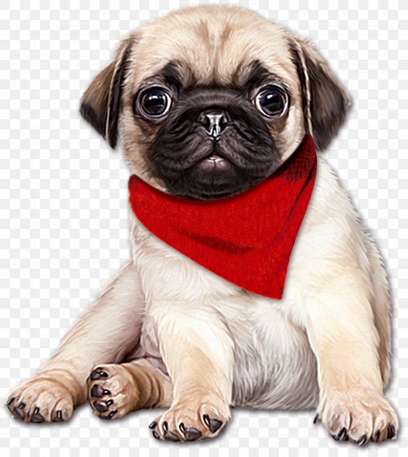 Pug English Mastiff Puppy, PNG, 2832x3175px, Pug, Carnivoran, Companion Dog, Cuteness, Dog Download Free