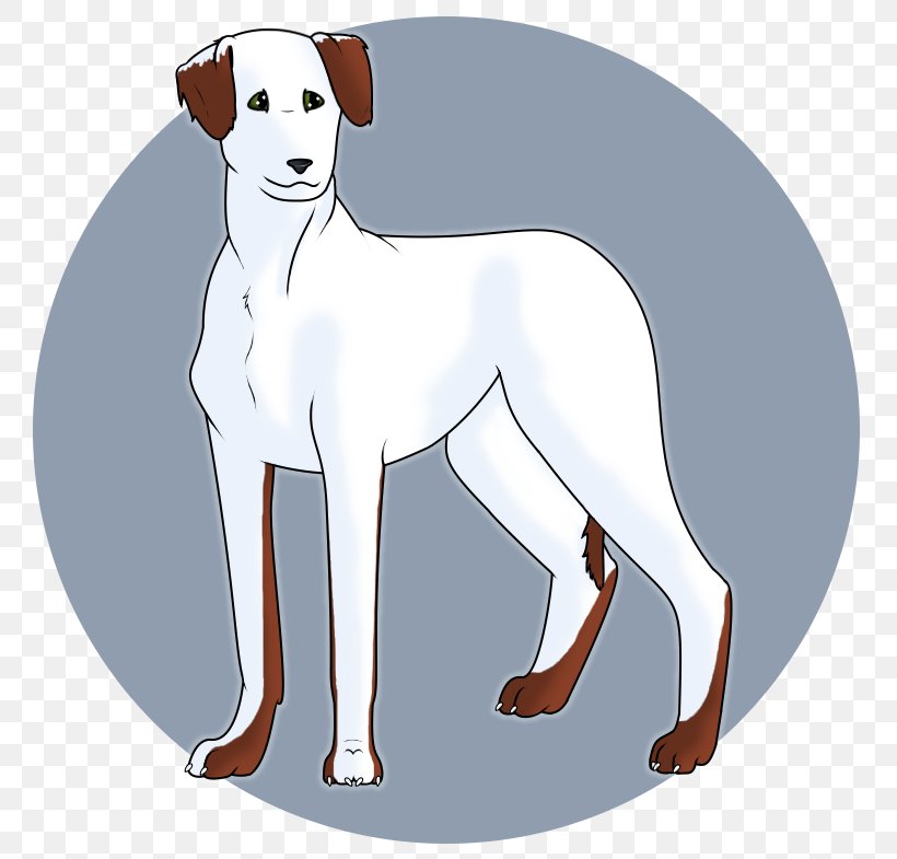 Dog Breed Italian Greyhound Puppy Non-sporting Group, PNG, 800x785px, Dog Breed, Breed, Breed Group Dog, Carnivoran, Cartoon Download Free