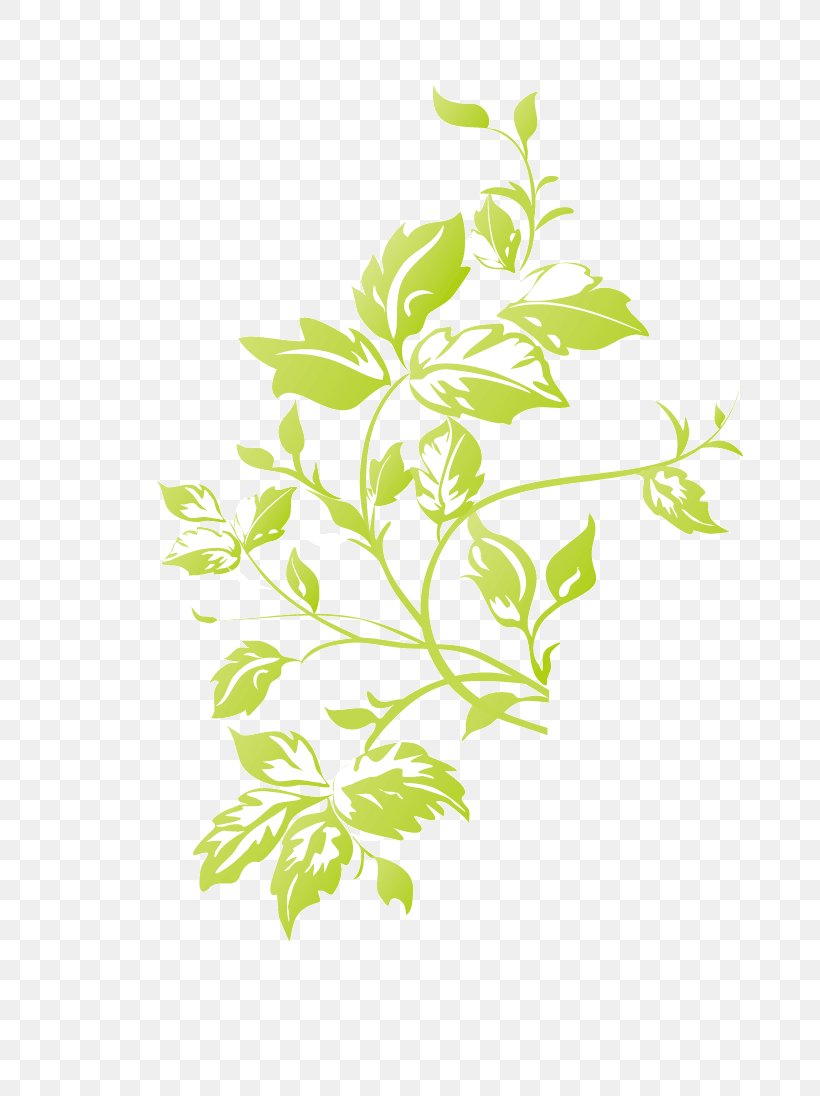 Herbaceous Plant Plants Design Green, PNG, 796x1096px, Herbaceous Plant, Advertising, Art, Branch, Flora Download Free