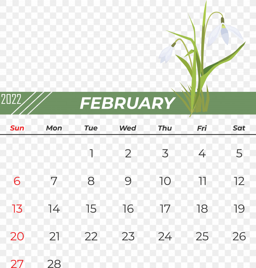 Sump Pump Zoeller Pump Calendar Font, PNG, 4418x4623px, Sump Pump, Calendar, Green, Line, Mathematics Download Free