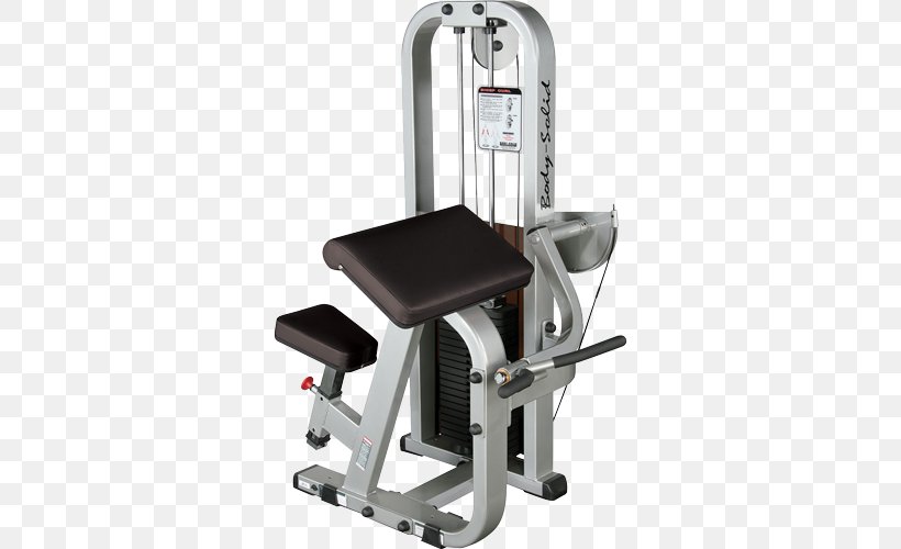Biceps Curl Exercise Machine Fitness Centre Triceps Brachii Muscle, PNG, 500x500px, Biceps, Biceps Curl, Exercise, Exercise Equipment, Exercise Machine Download Free