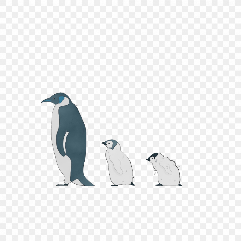 Penguins Birds Flightless Bird Beak Meter, PNG, 2000x2000px, Happy Family Day, Beak, Biology, Birds, Family Day Download Free