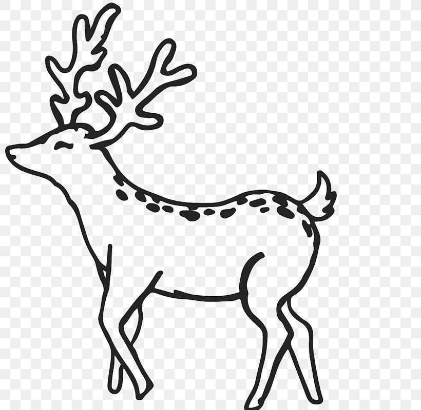 Reindeer Antler White-tailed Deer Clip Art, PNG, 800x800px, Reindeer, Animal Figure, Antler, Autocad Dxf, Black And White Download Free
