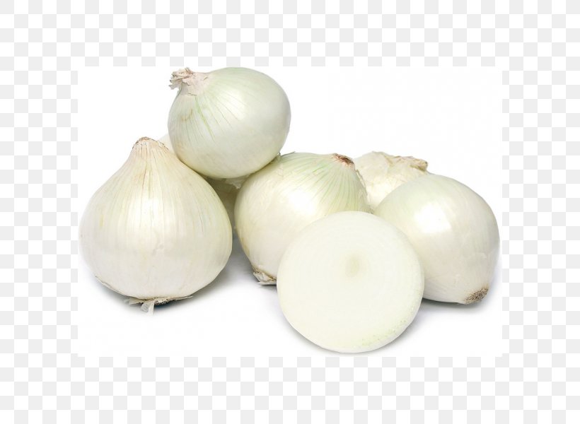 White Onion Mexican Cuisine Red Onion Vegetable, PNG, 600x600px, White Onion, Cauliflower, Elephant Garlic, Export, Flavor Download Free