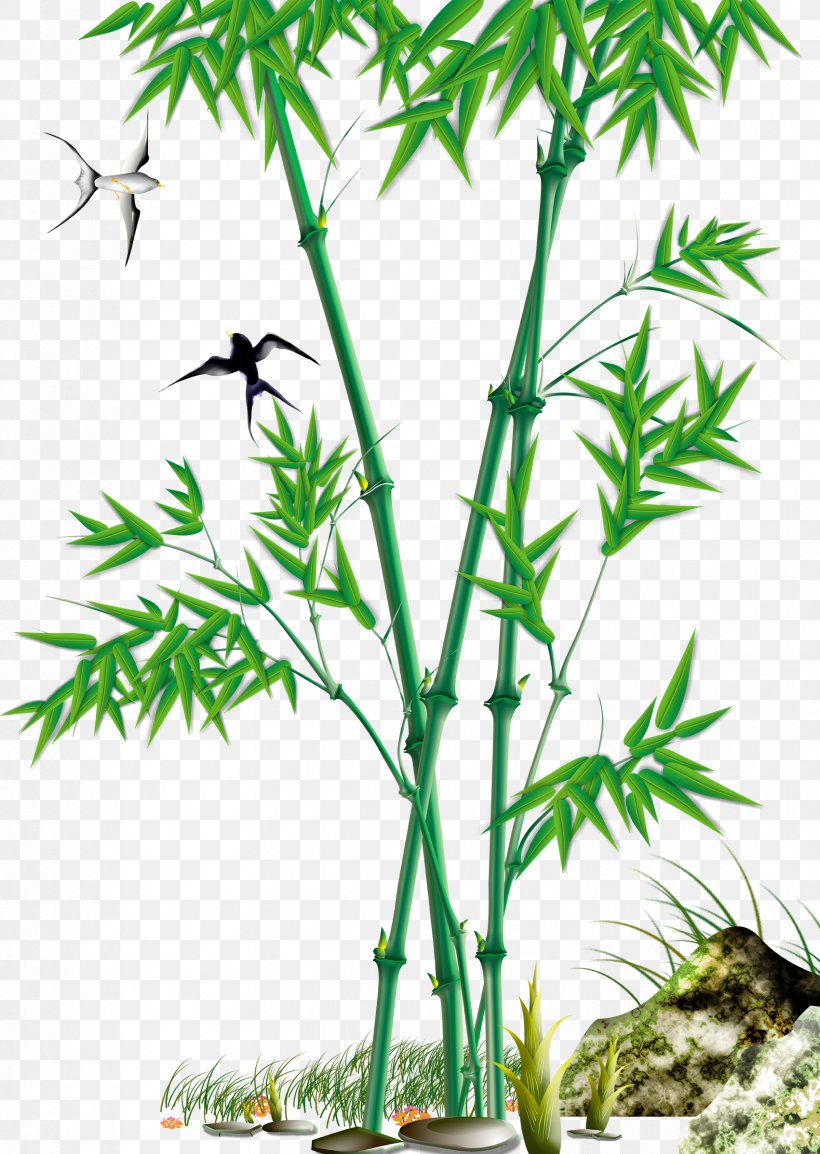 Bamboo Download Bambusa Oldhamii, PNG, 1701x2394px, Bamboo, Arecales, Bambusa Oldhamii, Branch, Flowerpot Download Free