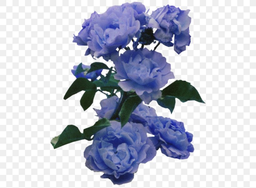 Flower Blue Rose Color, PNG, 500x602px, Flower, Art, Artificial Flower, Bellflower Family, Blue Download Free
