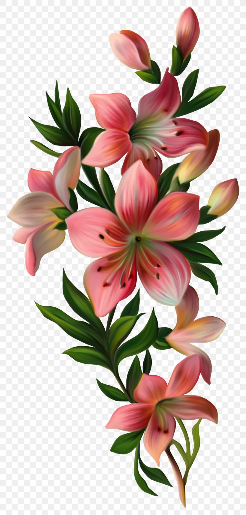 Flower Vintage Clothing Clip Art, PNG, 1076x2253px, Flower, Alstroemeriaceae, Cut Flowers, Decoupage, Digital Image Download Free