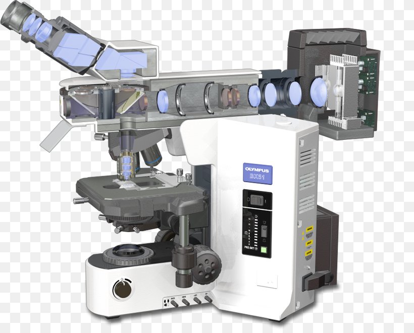 Fluorescence Microscope Principles Of Fluorescence Spectroscopy Confocal Microscopy, PNG, 820x660px, Microscope, Confocal Microscopy, Fluorescence, Fluorescence Microscope, Fluorescence Spectroscopy Download Free