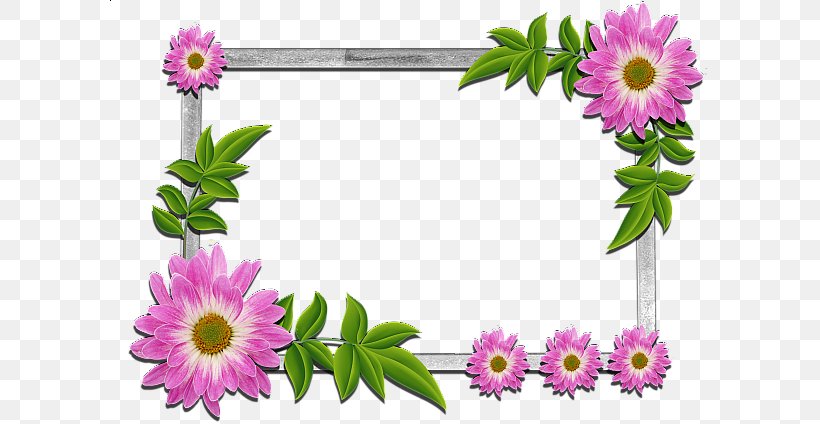 Clip Art Borders And Frames Flower Picture Frames Floral Design, PNG, 600x424px, Borders And Frames, African Daisy, Aster, Cut Flowers, Dorotheanthus Bellidiformis Download Free