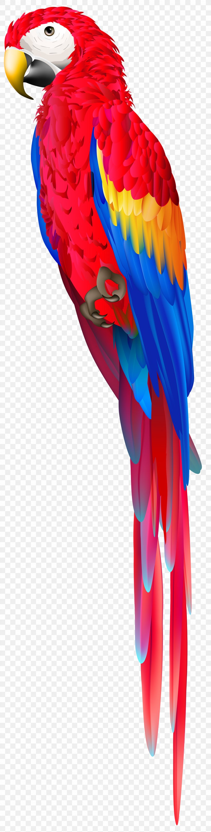 Macaw Parrot Clip Art Bird, PNG, 2035x8000px, Macaw, Animal, Beak, Bird, Costume Download Free
