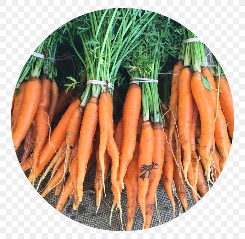 Baby Carrot Food Vegetable Fruit, PNG, 800x800px, Baby Carrot, Carrot, Chard, Diet Food, Dieting Download Free