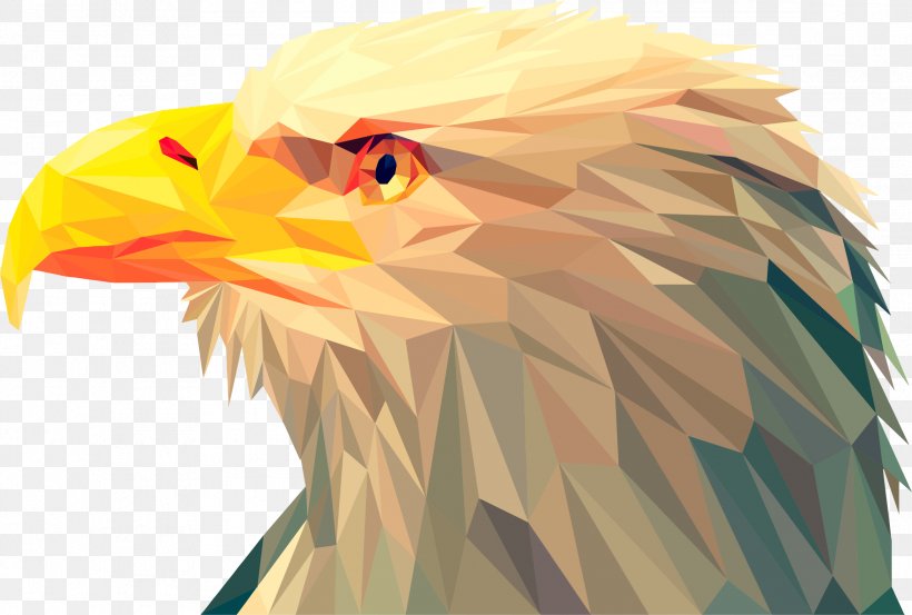 Bird Bald Eagle Beak, PNG, 2336x1578px, Bird, Animal, Art, Bald Eagle, Beak Download Free