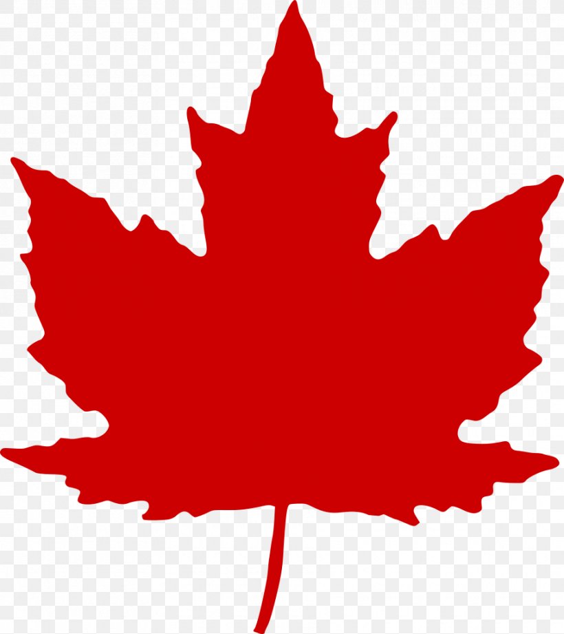 Canada Maple Leaf Clip Art, PNG, 910x1023px, Canada, Flag Of Canada, Flowering Plant, Great Canadian Flag Debate, Information Download Free