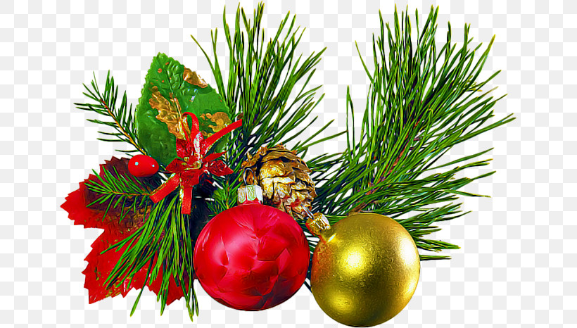 Christmas Decoration, PNG, 649x466px, Tree, American Larch, Branch, Christmas Decoration, Christmas Eve Download Free