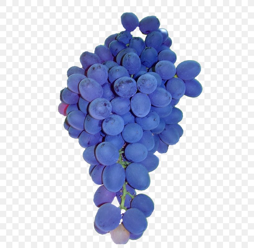 Common Grape Vine Fruit Auglis, PNG, 590x800px, Grape, Auglis, Blue, Cobalt Blue, Common Grape Vine Download Free