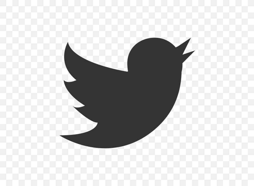 Social Media Company Logo Organization, PNG, 800x600px, Social Media, Beak, Bird, Black, Black And White Download Free