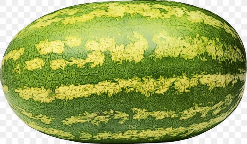 Watermelon Background, PNG, 1641x964px, Watermelon, Citrullus, Cucumber, Cucurbita, Cucurbits Download Free