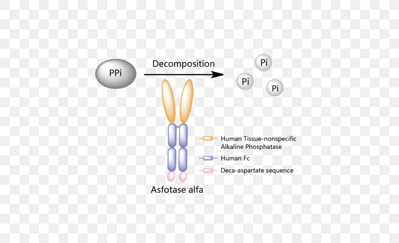 Asfotase Alfa Hypophosphatasia Strensiq Enzyme Replacement Therapy, PNG, 500x500px, Watercolor, Cartoon, Flower, Frame, Heart Download Free