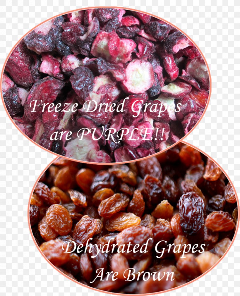 Camping Food Freeze-drying Food Drying Dehydration, PNG, 850x1050px, Camping Food, Cranberry, Dehydration, Dried Fruit, Drying Download Free