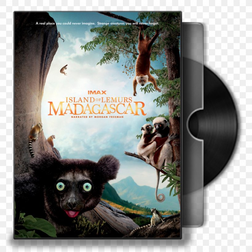 Lemurs Madagascar Documentary Film Blu-ray Disc, PNG, 894x894px, 3d Film, Lemurs, Advertising, Bluray Disc, Cinema Download Free