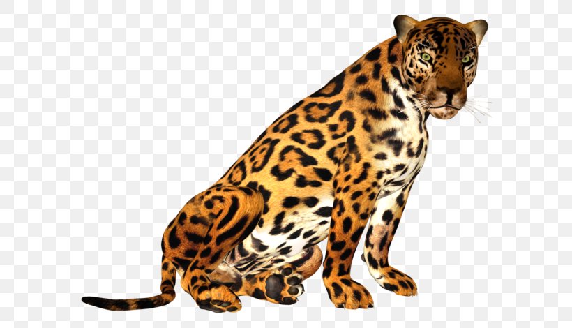 Leopard Tiger Cheetah Jaguar, PNG, 600x470px, Leopard, Animation, Big Cats, Blog, Carnivoran Download Free