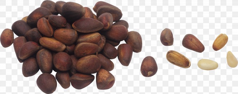 Pine Nut Nuts Hazelnut Honey, PNG, 4387x1745px, Pine Nut, Almond, Cashew, Chestnut, Cocoa Bean Download Free