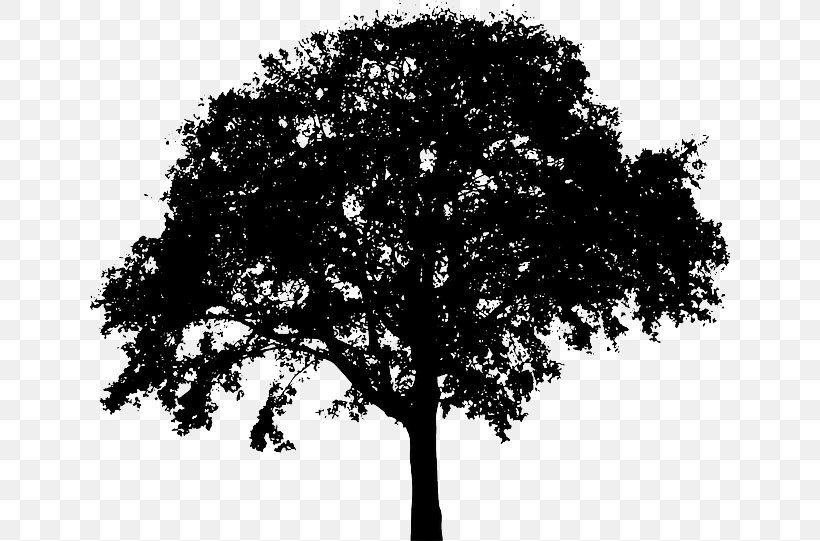 Tree Silhouette Royalty-free Clip Art, PNG, 640x541px, Tree, Arecaceae, Black And White, Branch, Drawing Download Free