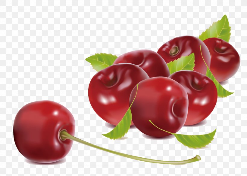 Cherry Illustration, PNG, 1388x992px, Cherry, Acerola, Acerola Family, Apple, Berry Download Free