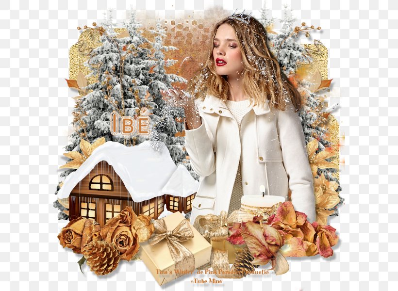 Fur Christmas Winter, PNG, 600x600px, Fur, Christmas, Winter Download Free
