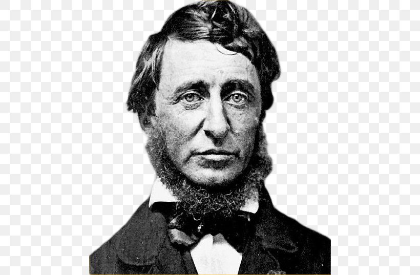 Henry David Thoreau Walden Pond Author Writer, PNG, 472x537px, Henry David Thoreau, Author, Beard, Black And White, Book Download Free