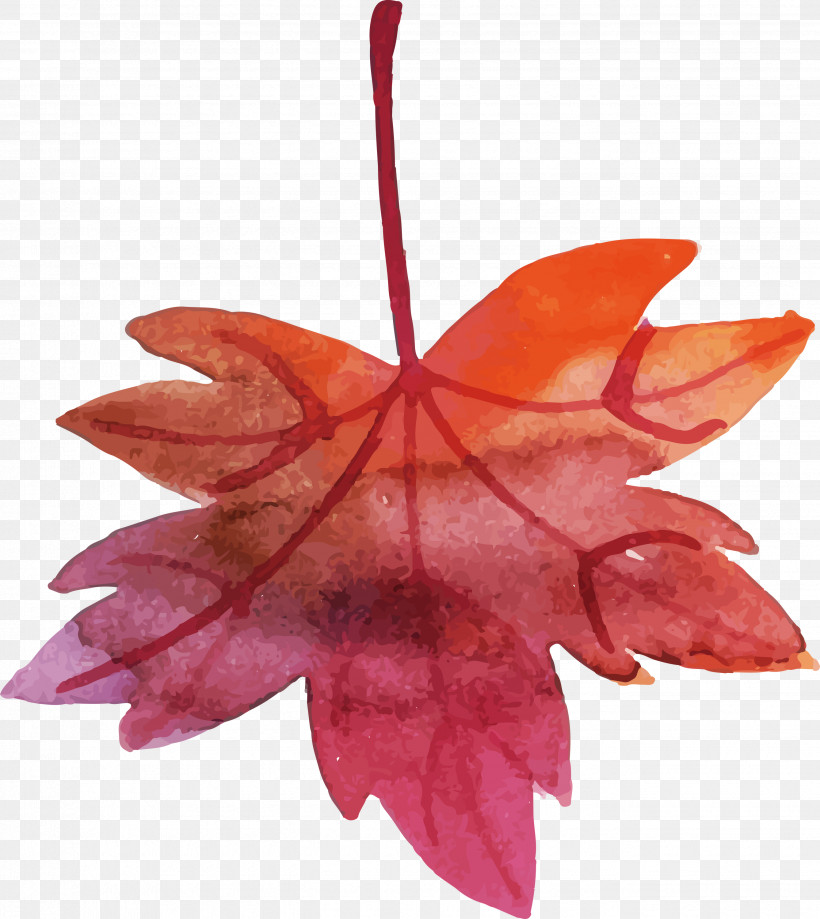 Maple Leaf, PNG, 2675x3000px, Watercolor Autumn, Biology, Colorful Leaf, Leaf, Maple Download Free