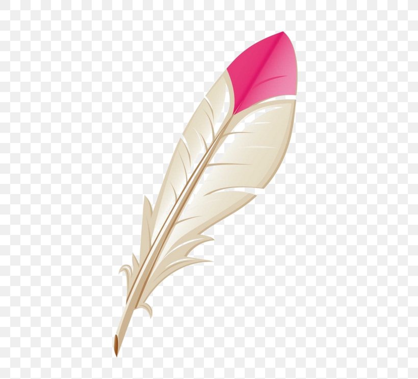 Quill Pens Vector Graphics Image Cartoon, PNG, 600x742px, Quill, Art, Cartoon, Drawing, Feather Download Free
