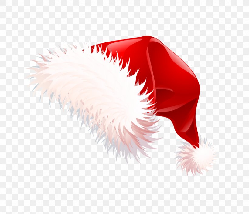 Santa Claus Santa Suit Christmas Clip Art, PNG, 854x736px, Santa Claus, Christmas, Christmas Stocking, Close Up, Free Content Download Free