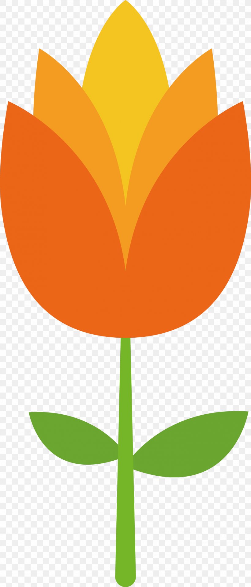 Flower Petal Tulip Clip Art, PNG, 1373x3206px, Flower, Designer, Display Resolution, Flowering Plant, Leaf Download Free