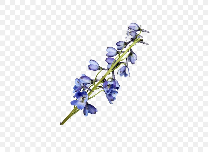 Watercolor Painting Flower Blue, PNG, 600x600px, Watercolor Painting, Blossom, Blue, Branch, Designer Download Free