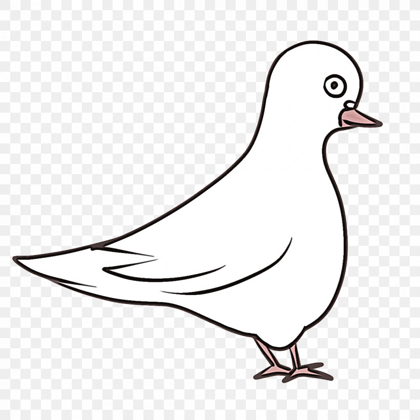 Columbidae Homing Pigeon Birds Beak English Carrier Pigeon, PNG, 1200x1200px, Columbidae, Beak, Birds, Duck, English Carrier Pigeon Download Free