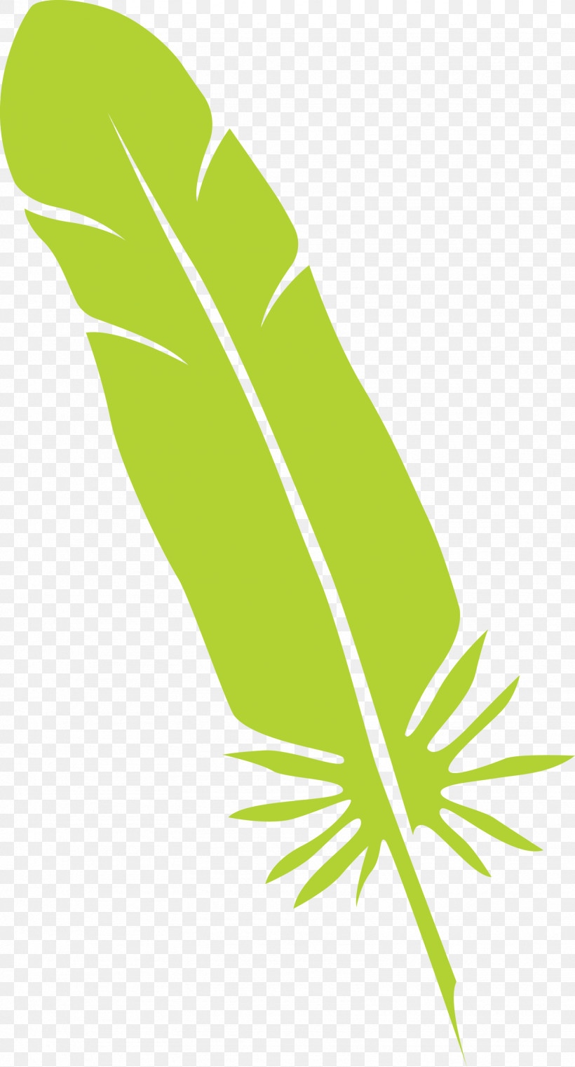 Feather, PNG, 1617x3000px, Feather, Angle, Green, Hm, Leaf Download Free