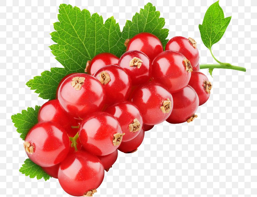 Fruit Tutti Frutti Red Mulberry Currant, PNG, 750x628px, Fruit, Acerola Family, Auglis, Berry, Cherry Download Free