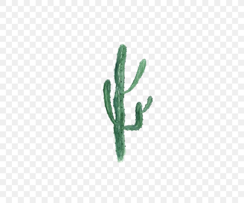 Cactaceae Opuntia Microdasys Painting #1, PNG, 510x680px, Cactaceae, Cactus, Flowering Plant, Grass, Green Download Free