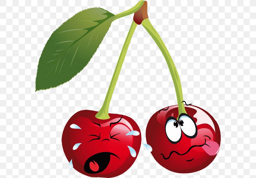 Cherry Emoticon Fruit Clip Art, PNG, 596x569px, Cherry, Computer, Emoticon, Flowering Plant, Food Download Free