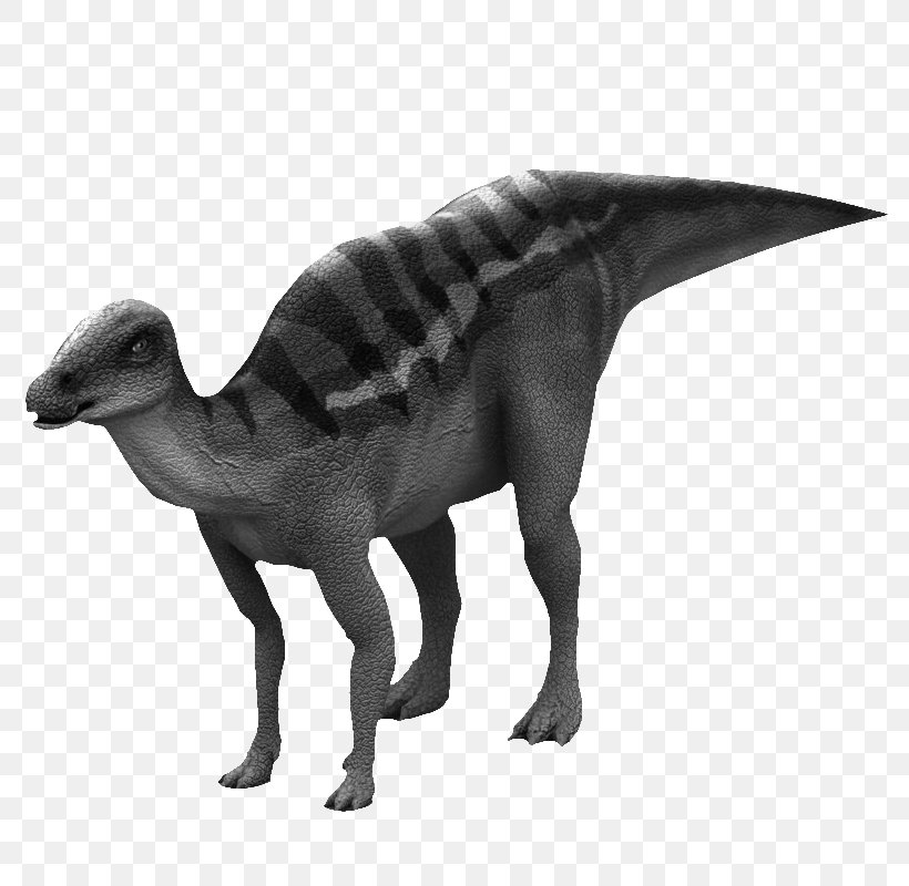 Dinosaur Sim, PNG, 800x800px, 3d Computer Graphics, 3d Dinosaur Vr, Velociraptor, Autodesk 3ds Max, Black And White Download Free
