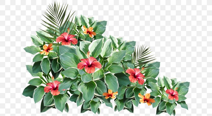 Floral Design Flower 2403 (عدد) 2404 (عدد), PNG, 650x449px, Floral Design, Annual Plant, Aquifoliaceae, Aquifoliales, Evergreen Download Free