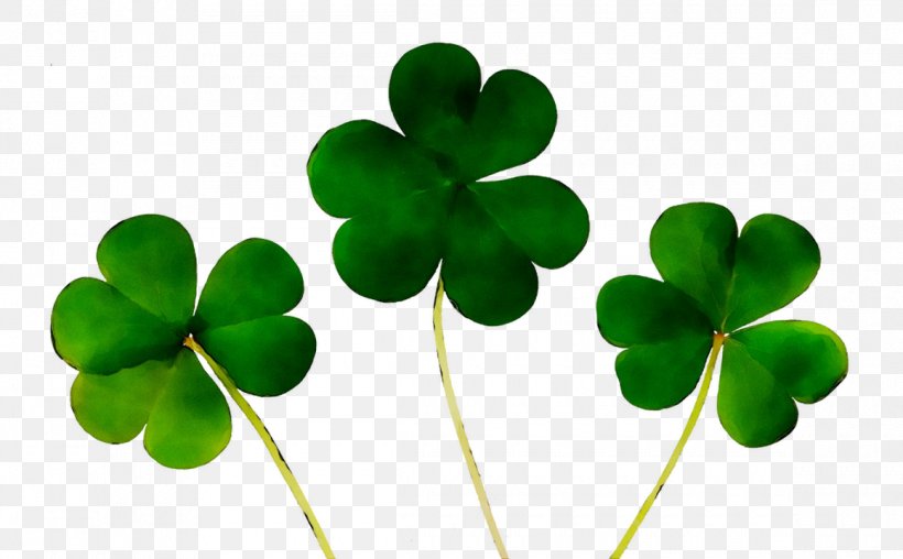 Four-leaf Clover Shamrock Saint Patrick's Day Luck, PNG, 1160x719px, Fourleaf Clover, Clover, Creeping Wood Sorrel, Flower, Flowering Plant Download Free