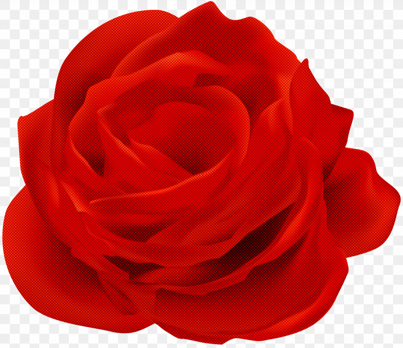 Garden Roses, PNG, 3000x2597px, Red, Floribunda, Flower, Garden Roses, Hybrid Tea Rose Download Free