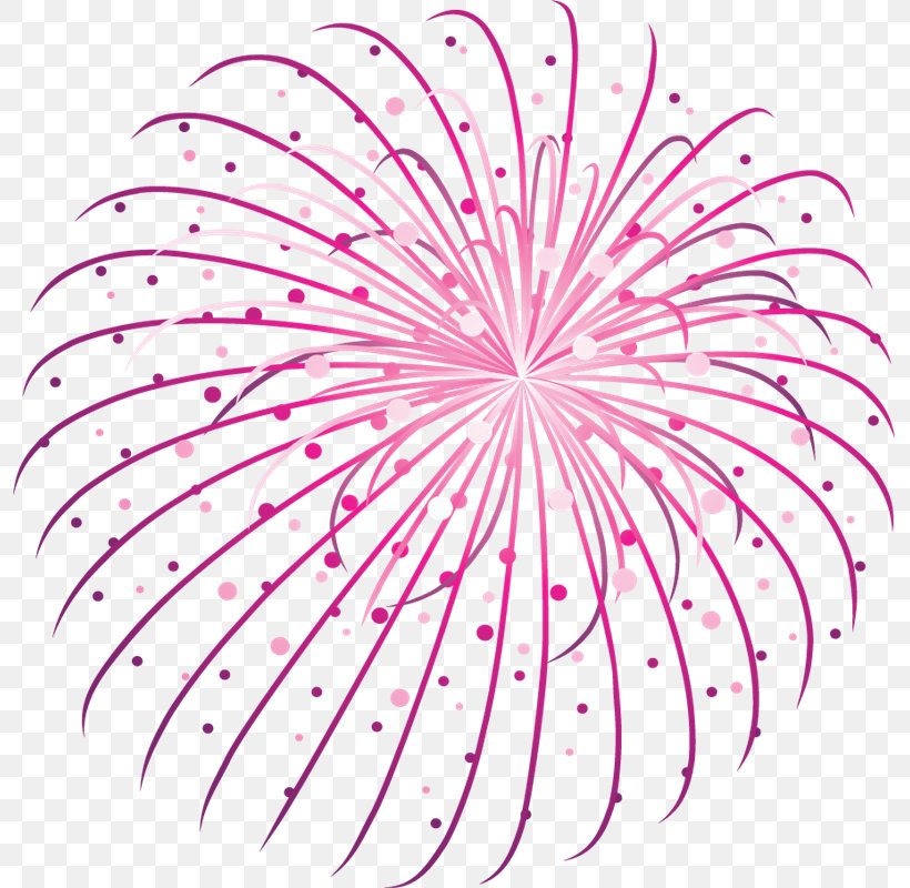Clip Art Adobe Fireworks Transparency, PNG, 795x800px, Adobe Fireworks, Fireworks, Flower, Flowering Plant, Leaf Download Free