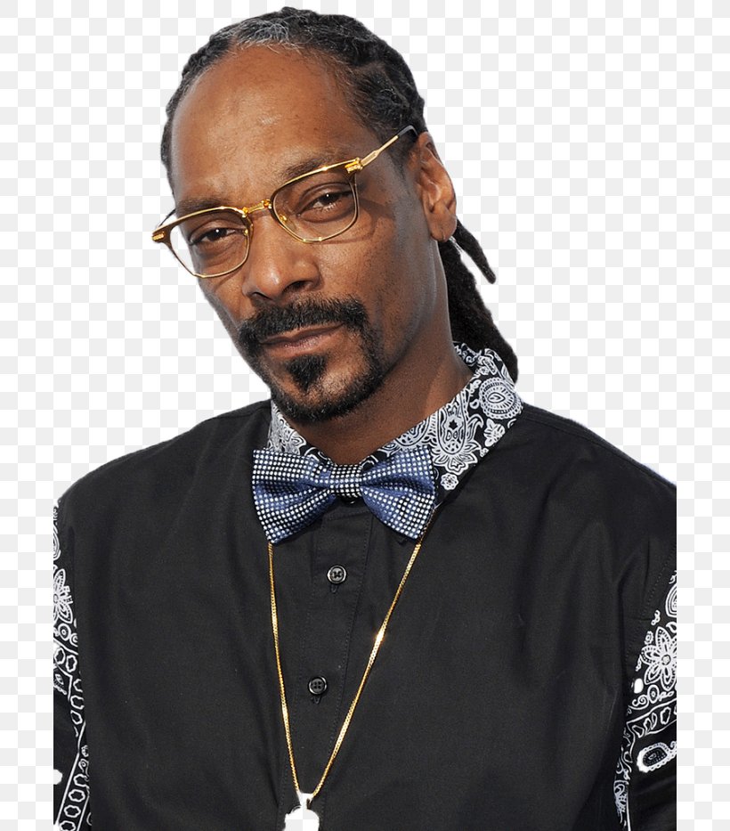 Snoop Dogg Soul Plane Musician Film, PNG, 700x933px, Watercolor, Cartoon, Flower, Frame, Heart Download Free