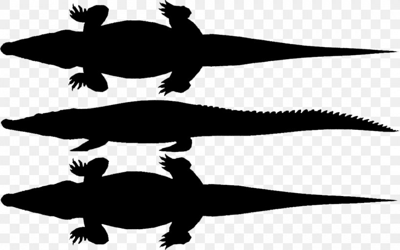 Turtle Amphibians Clip Art Fauna Silhouette, PNG, 1107x695px, Turtle, Alligator, Amphibian, Amphibians, Animal Download Free