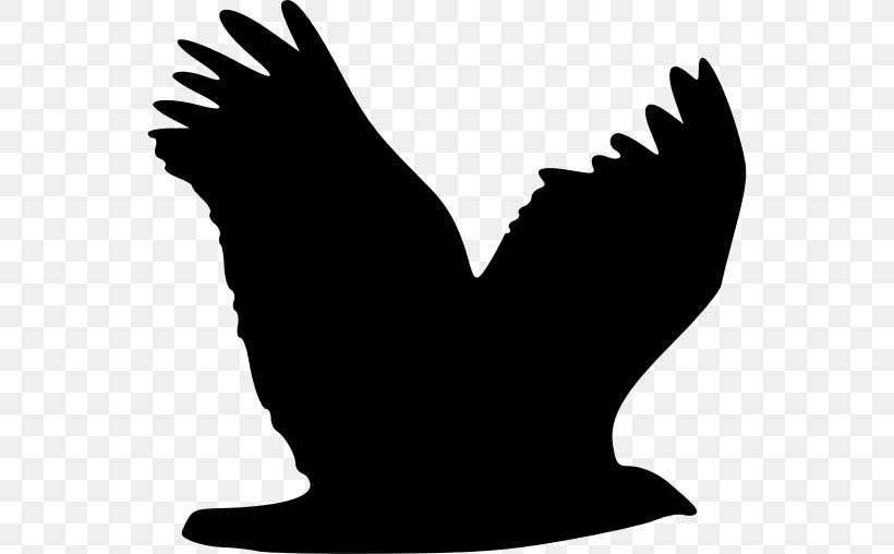 Bird Silhouette Eagle Clip Art, PNG, 550x508px, Bird, Beak, Bird Flight, Black And White, Chicken Download Free